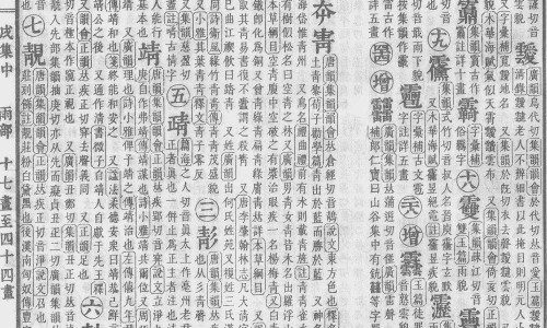 荔枝菌干功效与作用网-分享荔枝菌是什么，荔枝菌是什么知识库